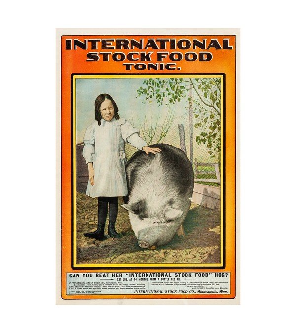  1906 International Stock Food Tonic 