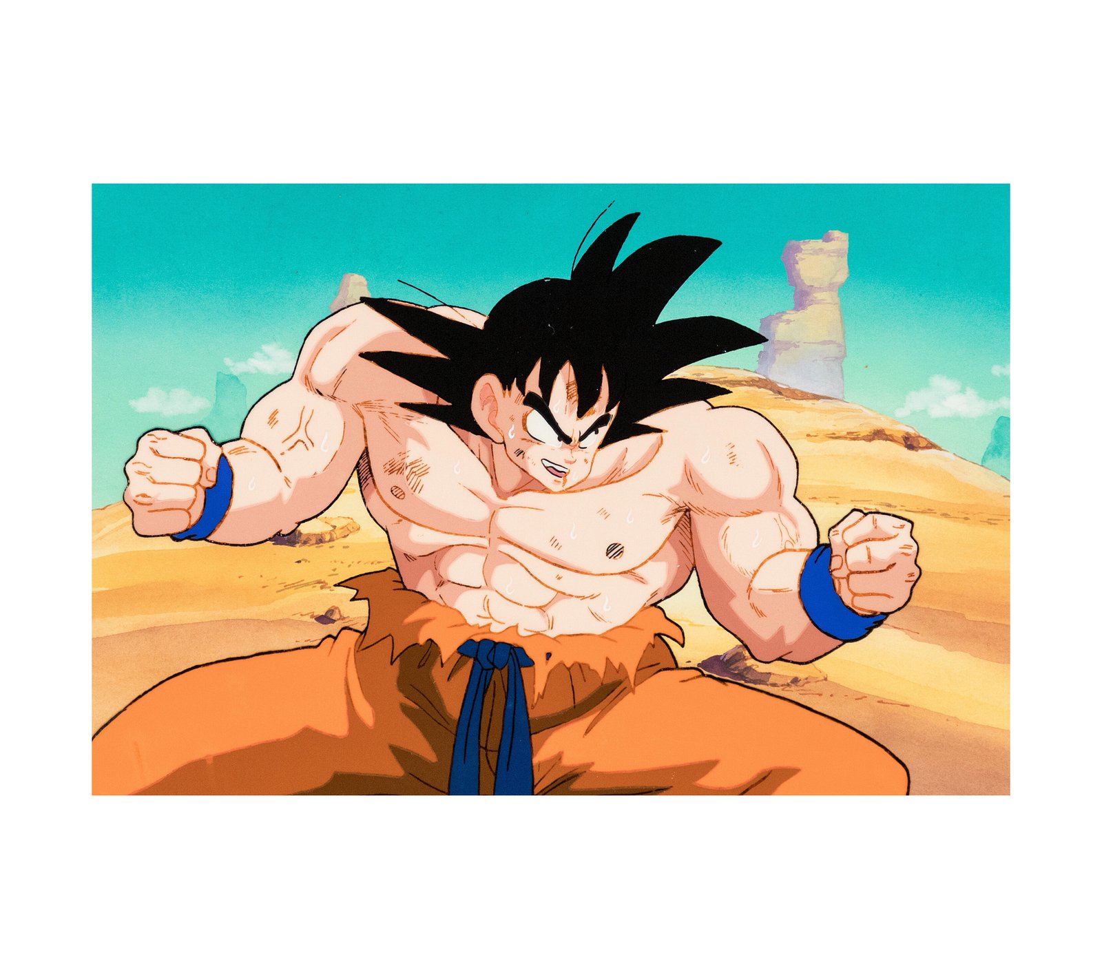 Dragon Ball Z Season 1 Episode 31 Goku (Toei Animation) 