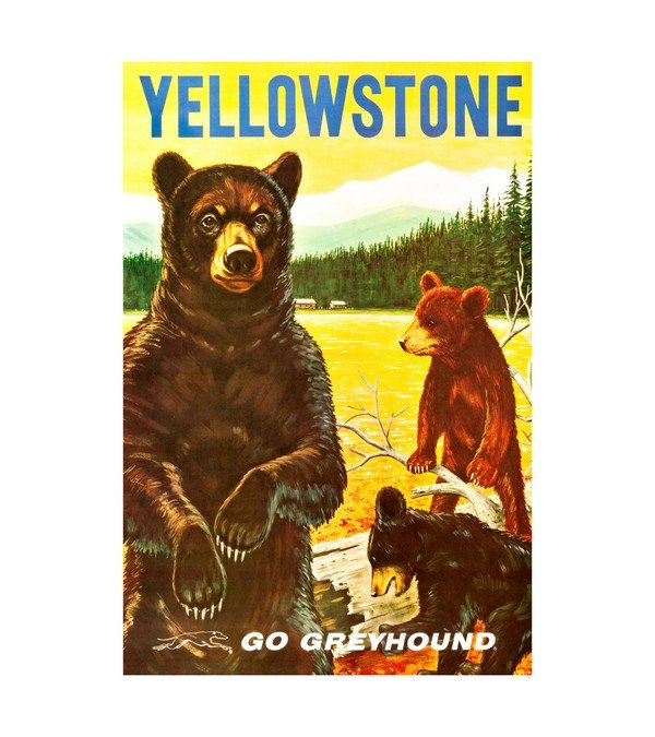 1964 Greyhound Bus Yellowstone 