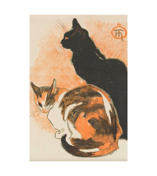 Two Cats 
