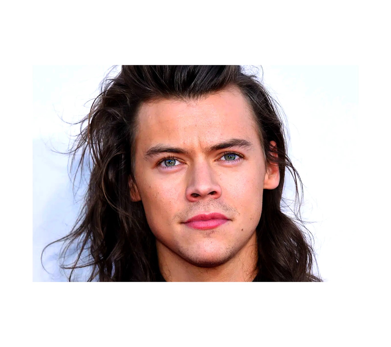 One Direction Harry Styles 