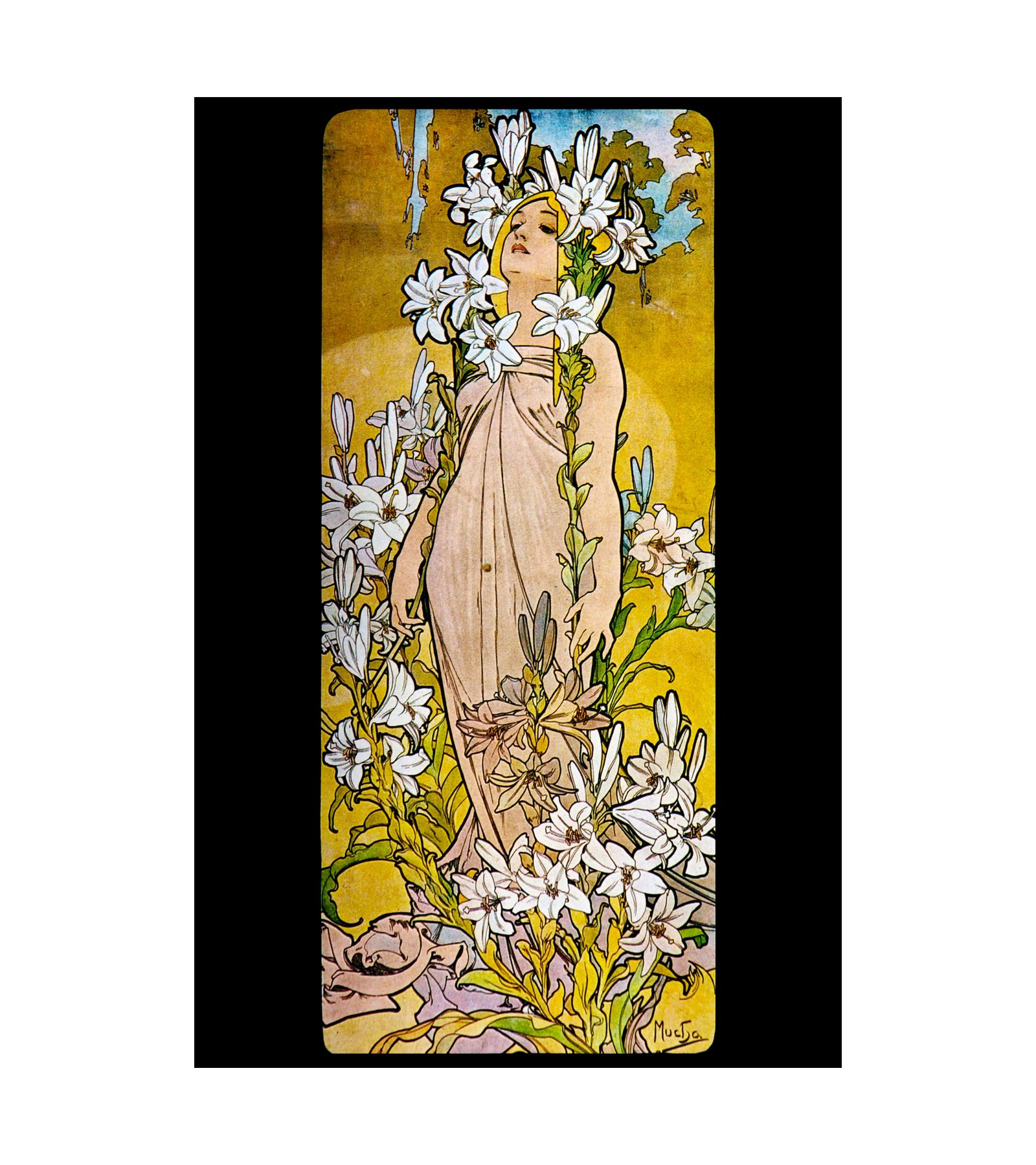 1898 The Flowers Lily Alphonse Mucha.jpg