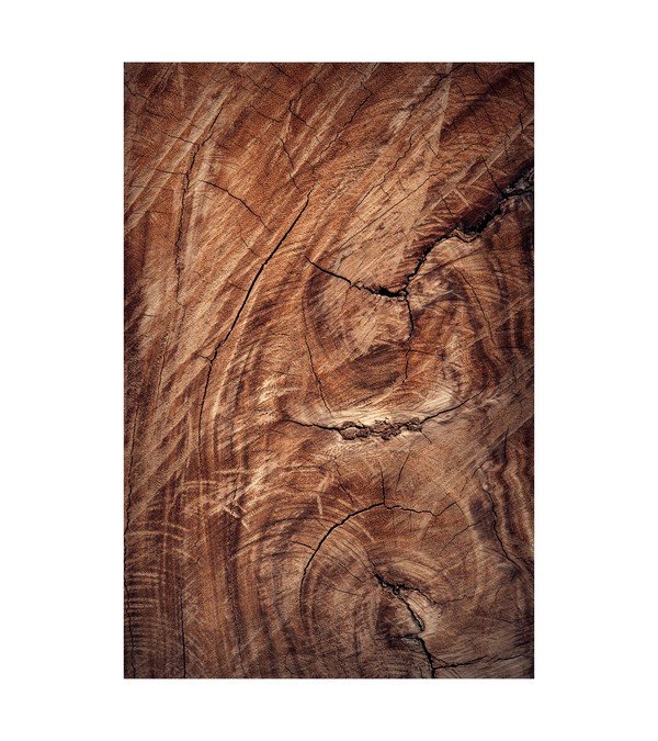 Sawn Walnut 