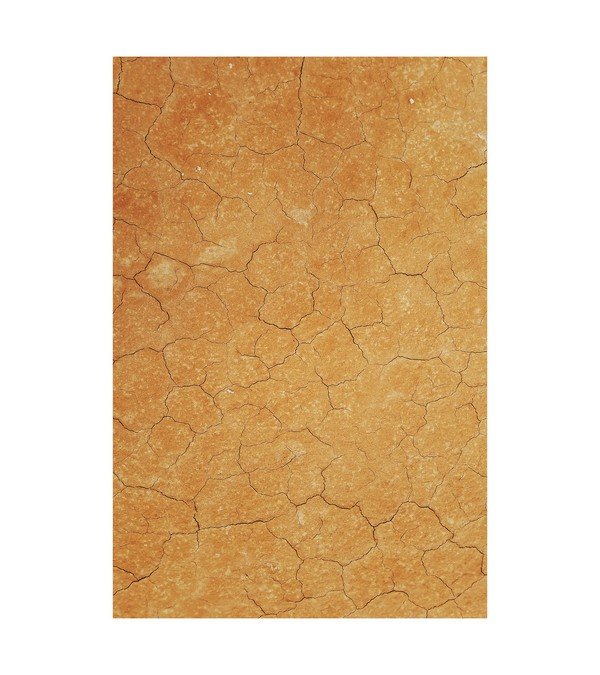 Cracked Earth 