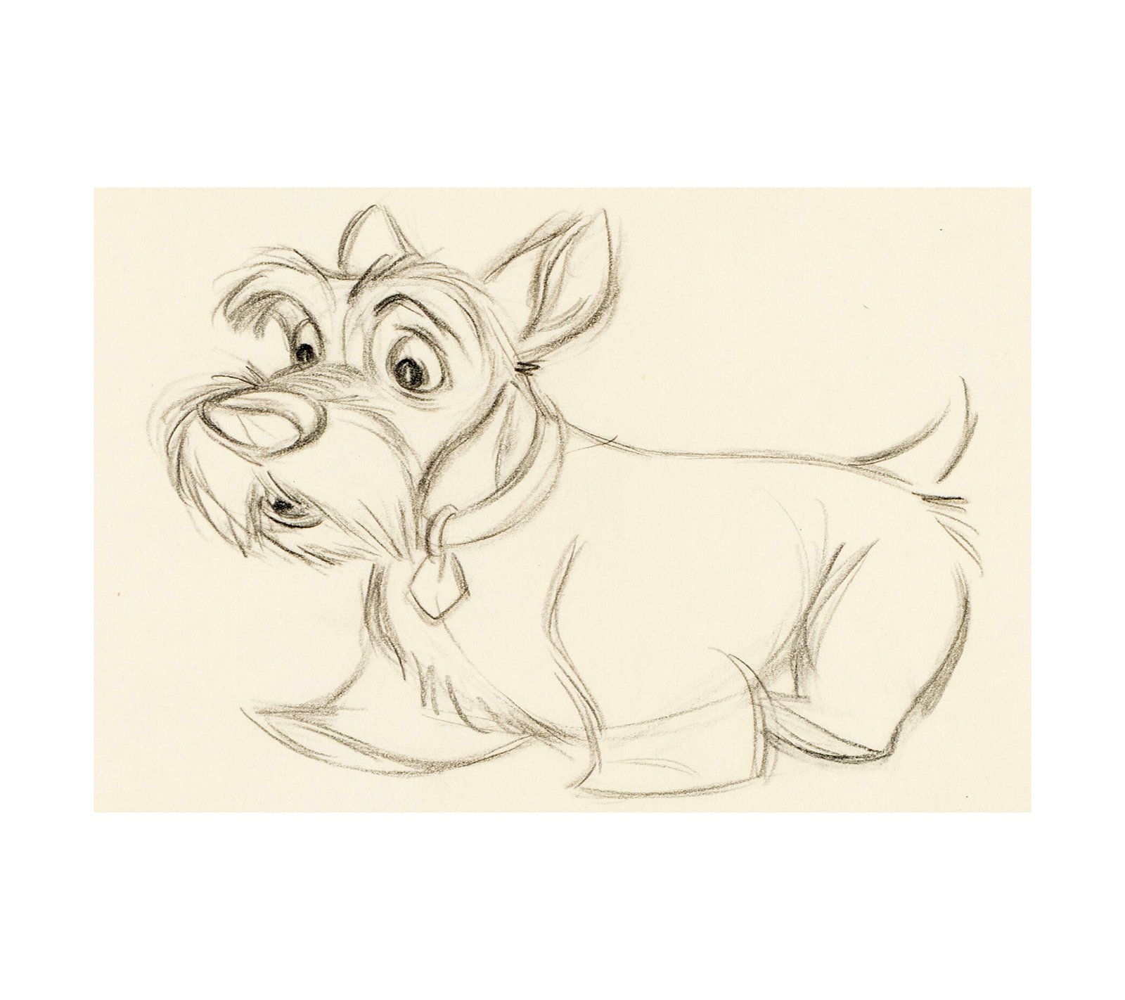 1955 Lady and the Tramp - Jock Animation Drawing 