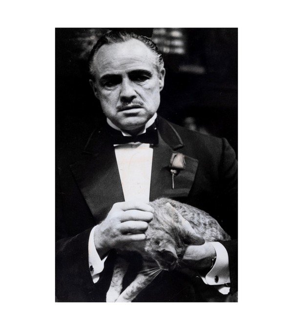 1972 Marlon Brando The Godfather 