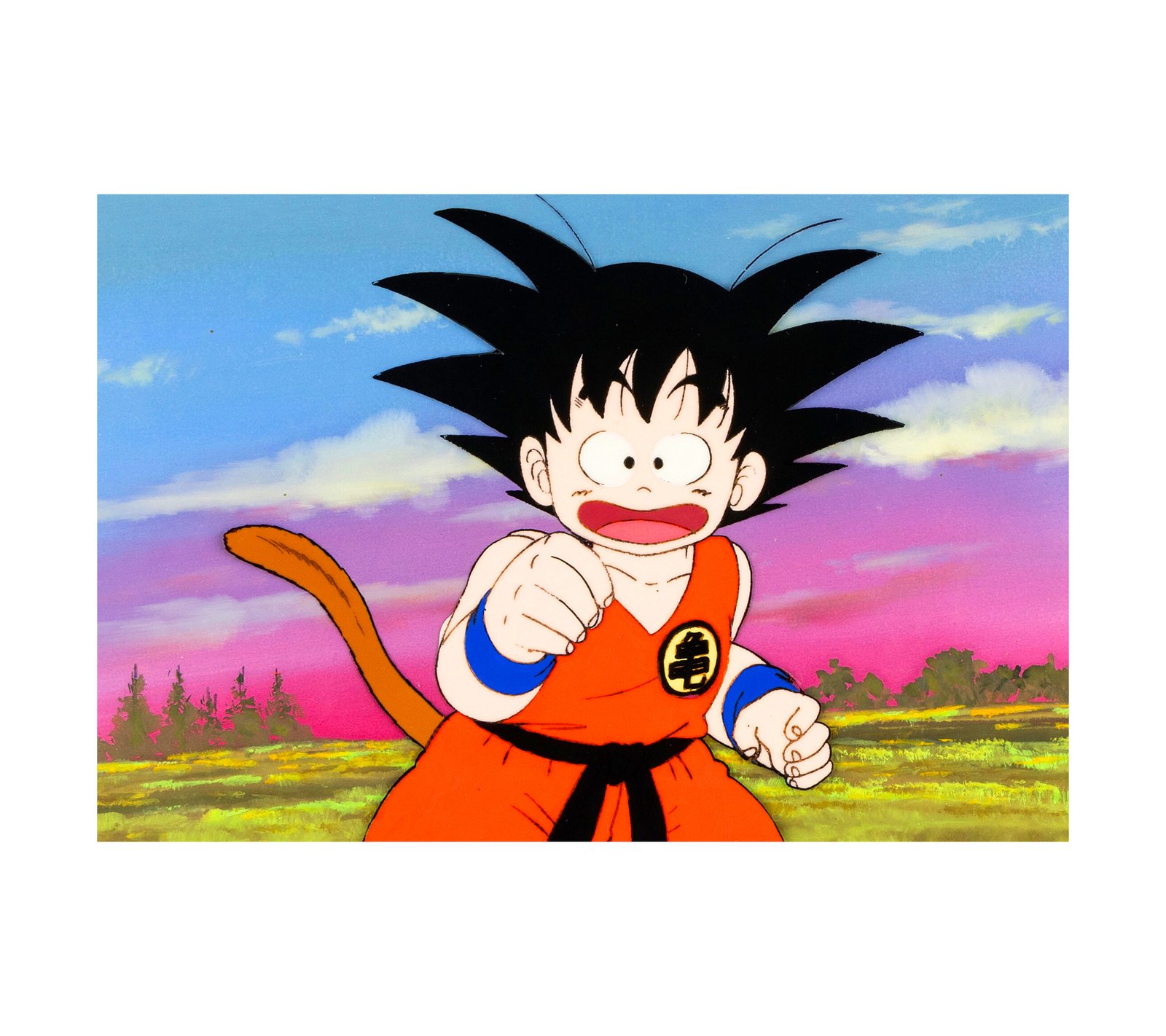 Dragon Ball Goku 